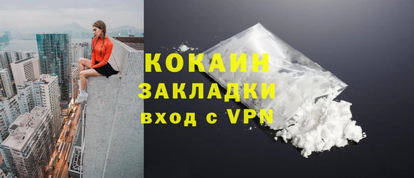 дурь Богородицк