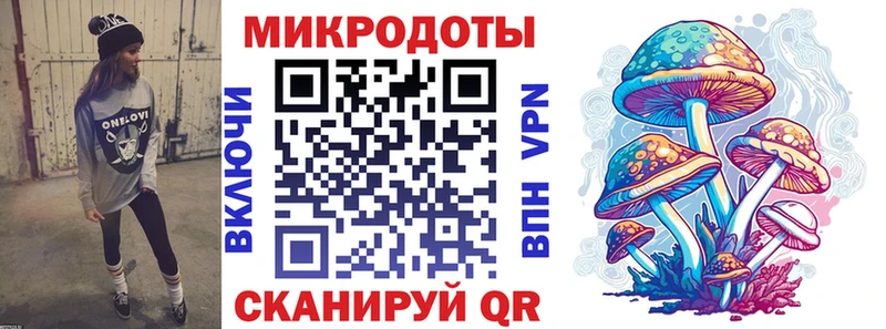 Псилоцибиновые грибы Cubensis  Морозовск 
