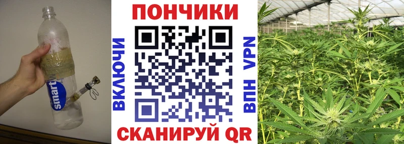 Конопля конопля  Морозовск 
